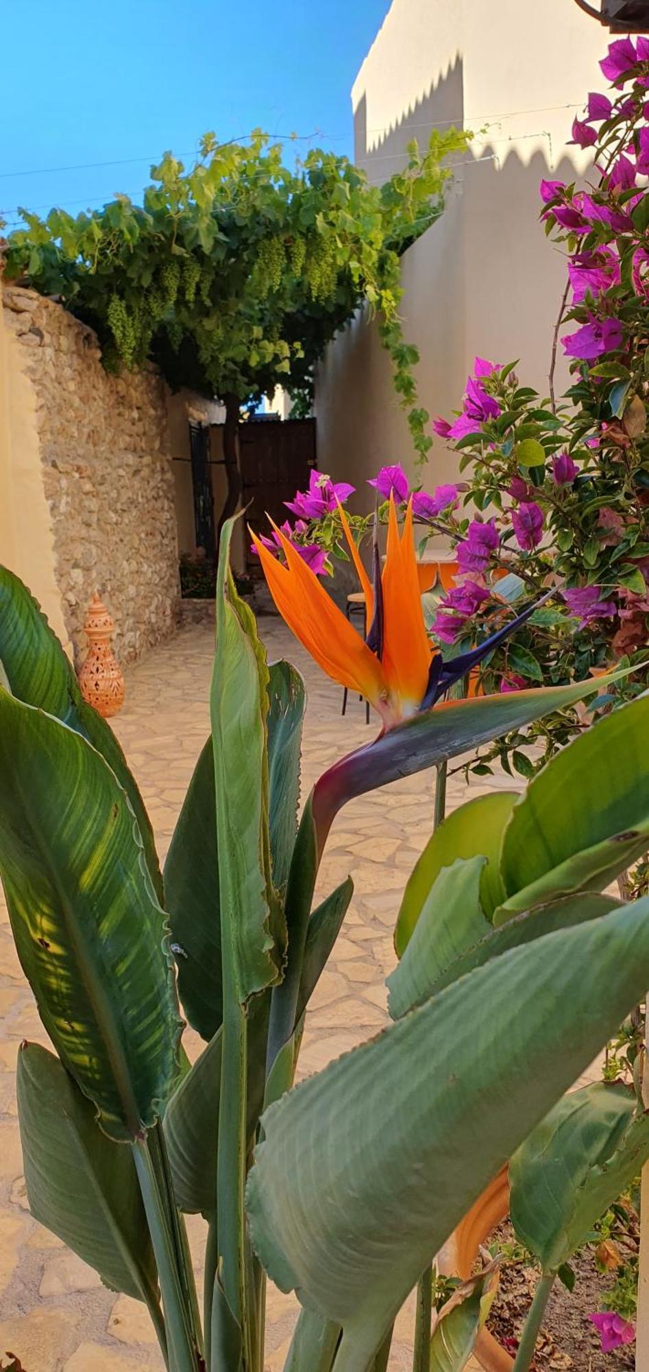 El Jardin Secreto Appartement Oria Buitenkant foto